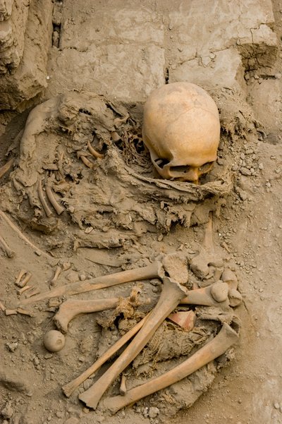 Ofiarna kobieta w pochówku z wiązką mumii w Huaca El Brujo, 2005 r. (zdjęcie) autorstwa Ira Block