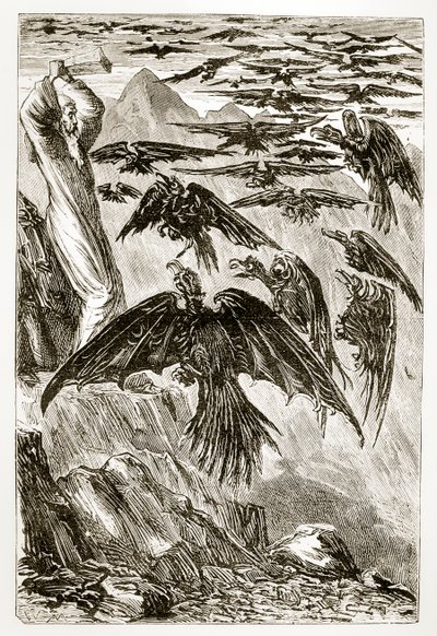 Św. Patryk i demoniczne ptaki, z Trias Thaumaturga, czyli Trzech Cudotwórczych Świętych Irlandii, autorstwa Mary Cusack (1829-99) opublikowanej ok. 1890 roku autorstwa Irish School