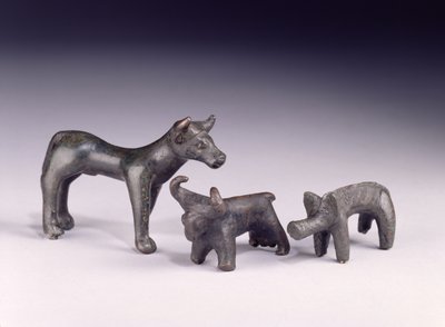 Dwa byki z Węgier i dzik z Jaskini Gower, Rhossilly, Południowa Walia, epoka żelaza (brąz) autorstwa Iron Age