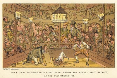 Tom i Jerry noszą tępe na Zjawisku Małpy, Jacco Macacco, w Westminster Pit autorstwa Isaac, Robert and George Cruikshank