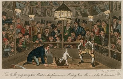 Tom i Jerry wypowiadają się dosadnie na zjawisku Małpa, Jacco Macacco, w Westminster Pit autorstwa Isaac, Robert and George Cruikshank