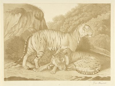 Dwa tygrysy w krajobrazie autorstwa Isaac van Haastert (signed by artist)