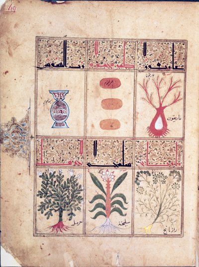 Ms. Arabe 2964 fol.49 Rośliny z traktatu Theriac po Galien, 1217 autorstwa Islamic School
