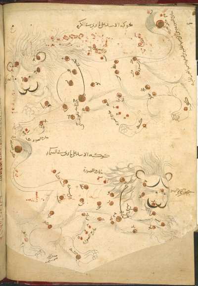 Lub 5323 f.45v Dwa lwy, ilustracja z „Opisu gwiazd stałych”, Abd al-Rahman al-Sufi (tusz i kolor na papierze) autorstwa Islamic School