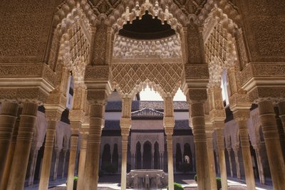 Dwór Lwów autorstwa Islamic School