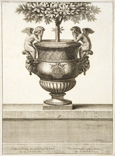 Urny z brązu używane do drzewek cytrusowych, ilustracja z „Widoków i planów wersalskich”, Paryż, ok. 1664-89 (rycina) autorstwa Israel the Younger (after) Silvestre