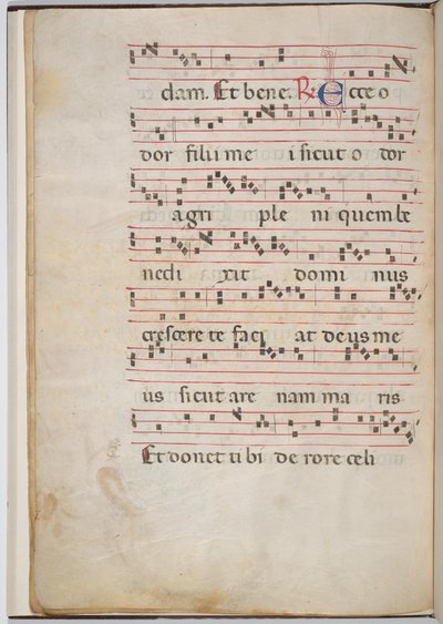 Karta 8 z fragmentu antyfonalnego (verso) autorstwa Italian 13th Century