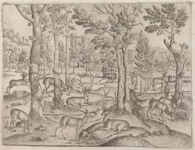 Jeleń w lesie autorstwa Italian 16th Century