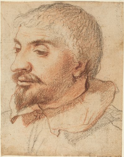 Głowa mężczyzny autorstwa Italian 17th Century