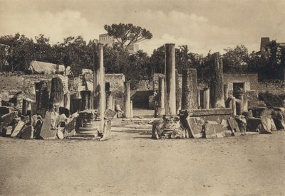 Neapol: Pozzuoli, Tempio Di Serapis (zdjęcie czarno-białe) autorstwa Italian Photographer