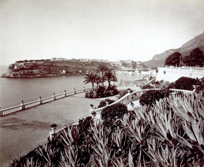 Panorama Monte Carlo. Na pierwszym planie gęsta roślinność agawy i kaktusów autorstwa Italian Photographer