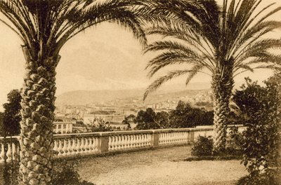 San Remo, Z Palmy (zdjęcie czarno-białe) autorstwa Italian Photographer