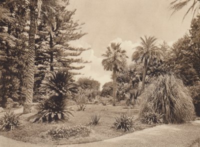 Sycylia / Sycylia: Villa Tasca, Palermo (zdjęcie czarno-białe) autorstwa Italian Photographer