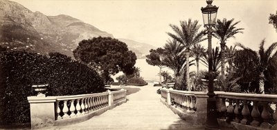 Ogród Kasyna Monte Carlo w Księstwie Monako autorstwa Italian Photographer