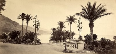 Ogród kasyna Monte Carlo w Księstwie Monako autorstwa Italian Photographer