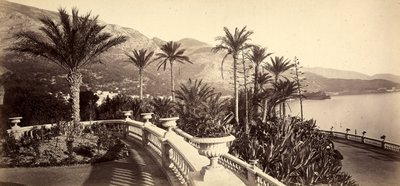 Ogród kasyna Monte Carlo w Księstwie Monako autorstwa Italian Photographer