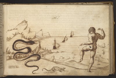 Dodać. 82955, f.115 Wąż („hydra”); Jaszczurka („Hemorrovs”); i postać ludzka.  , z Historii Animalium, (składający się z 245 rysunków wykonanych piórem i atramentem różnych gatunków zwierząt i mitycznych stworzeń, każdy opatrzony opisem.)    1595 autorstwa Italian School