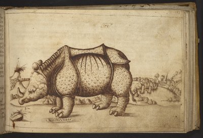 Dodać. 82955, f.172 Nosorożca., z Historia Animalium autorstwa Italian School