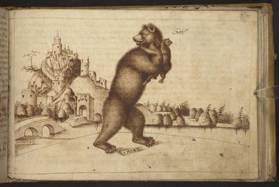 Dodać. 82955, f.199   Niedźwiedzie („ursus”), jeden dźgnięty przez mężczyznę, drugi niosący młode.  , z Historii Animalium, (składający się z 245 rysunków wykonanych piórem i atramentem różnych gatunków zwierząt i mitycznych stworzeń, każdy opatrzony opise autorstwa Italian School