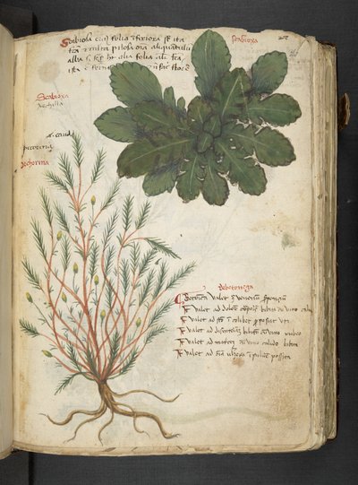 Dodaj MS 41623 