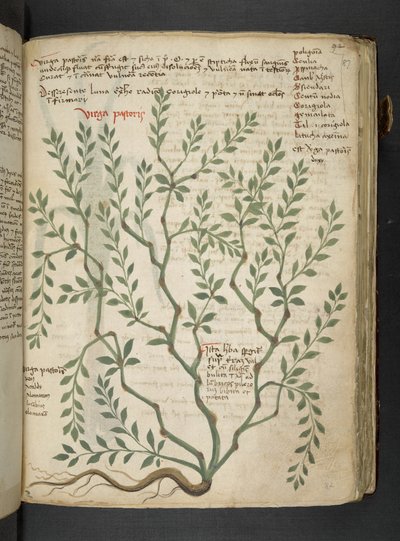 Dodaj MS 41623 