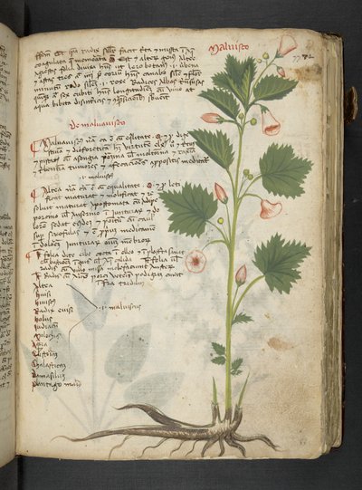 Dodaj MS 41623 