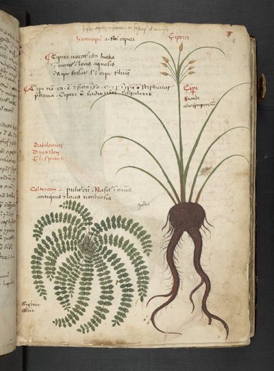 Dodaj MS 41623 