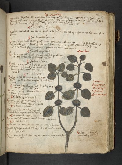 Dodaj MS 41623 