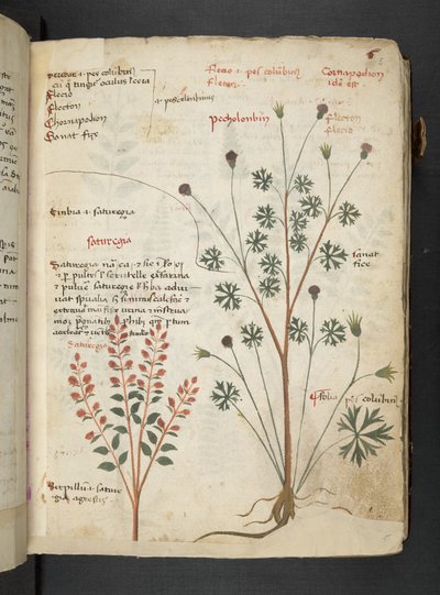 Dodaj MS 41623 