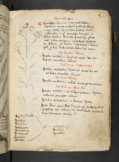 Dodaj MS 41623 