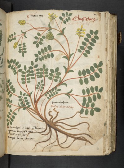 Dodaj MS 41623 