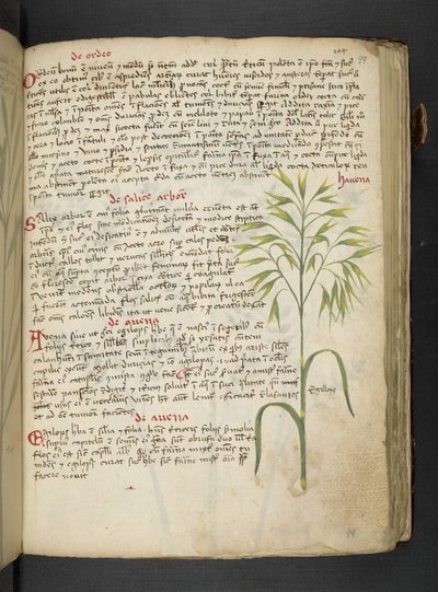 Dodaj MS 41623 