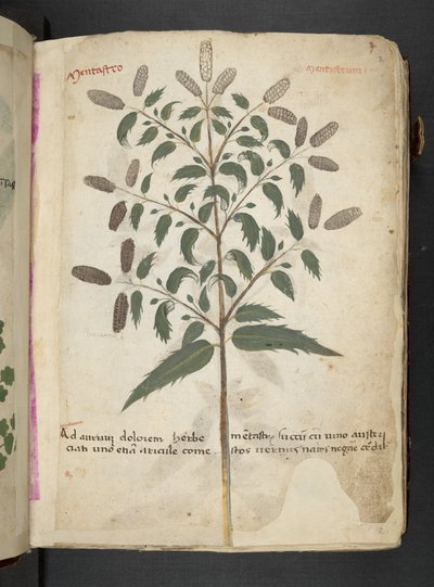 Dodaj MS 41623 