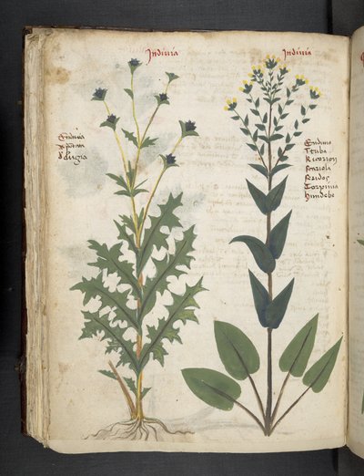 Dodaj MS 41623 