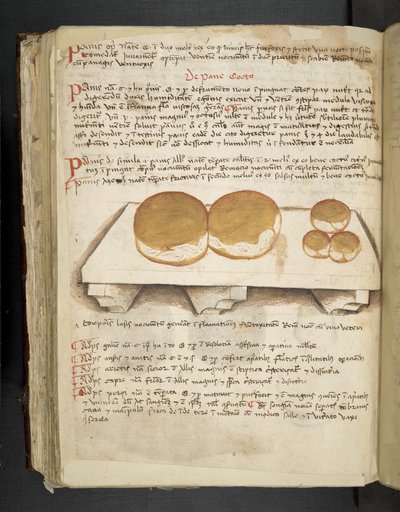 Dodaj MS 41623 f.124v De Pane, z „A herbal”, Belluno (tusz i kolor na welinie) autorstwa Italian School