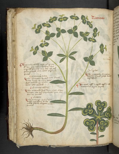 Dodaj MS 41623 f.94v 