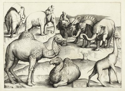 Obrazy zwierzęce ze starożytnego Rzymu, tabela, 3., wyd. Antonio Lafrere 1528 autorstwa Italian School