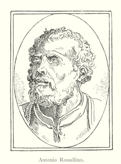 Antonio Rossellino (grafika) autorstwa Italian School