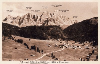 Bellamonte, wioska Predazzo, pocztówka, Trydent-Górna Adyga, Włochy, XX wiek autorstwa Italian School