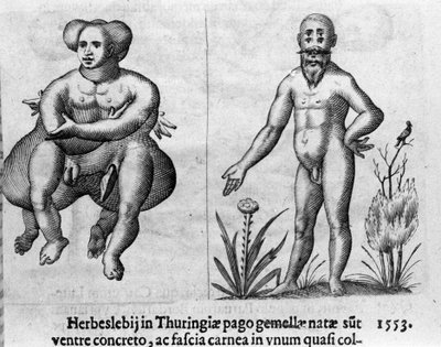 Różne rodzaje ludzkich potworów. Rycina z "Natury potworów, ich przyczyn i różnic" autorstwa włoskiego naukowca Fortunio Whilei (1577-1656). 1646 autorstwa Italian School