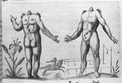 Różne typy ludzkich potworów: człowiek bez głowy. Rycina z „Natury potworów, ich przyczyn i różnic” autorstwa włoskiego naukowca Fortunio Whilei (1577-1656). 1646 autorstwa Italian School