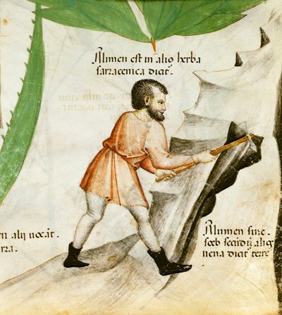 Wydobywanie ałunu, ok. 1440 (kolor lito) autorstwa Italian School