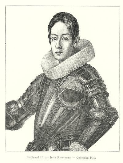 Ferdynand II, Juste Sustermans, kolekcja Pitti (grawerowanie) autorstwa Italian School