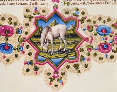 Fol.245V Jednorożec, z Biblii Borso d