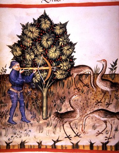 Fol.70v Polowanie na żurawia, ilustracja z "Tacuinum Santiatis Codex Vindobonensis" (vellum) autorstwa Italian School