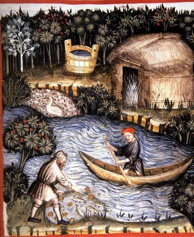 Fol.82r Świeża ryba, ilustracja z 