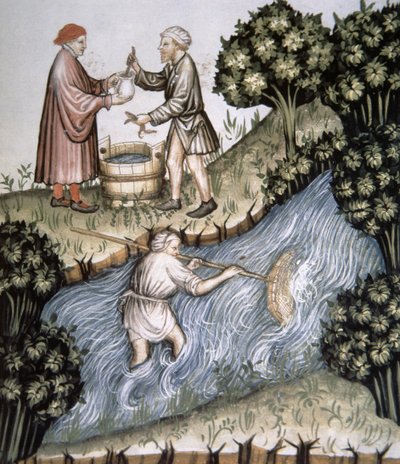 Fol.84r Fishing, ilustracja z Tacuinum Santiatis Codex Vindobonensis autorstwa Italian School