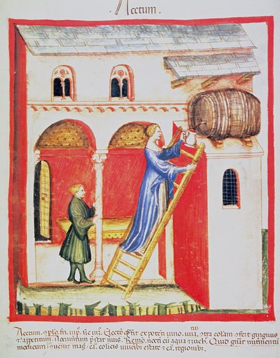 Fol.85v Ocet, ilustracja z Tacuinum Santiatis Codex Vindobonensis autorstwa Italian School