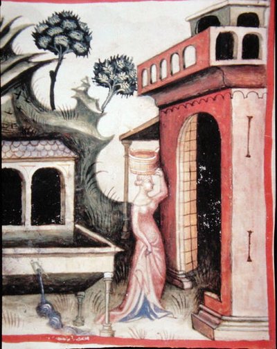 Fol.88v Woda źródlana, ilustracja z 