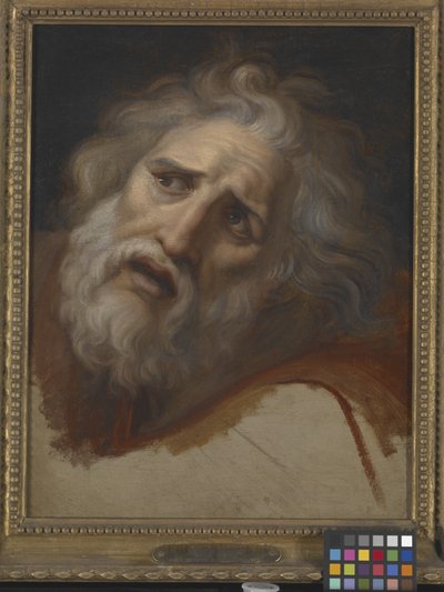 Głowa Laokoona (olej na płótnie) autorstwa Italian School
